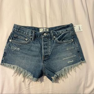 NWT Free People Loving Good Vibrations Cutoffs